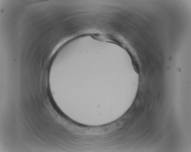 X0000082710011200702232308