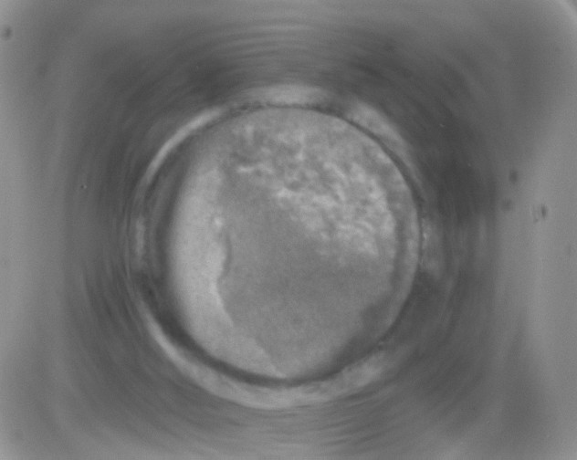 X0000082710012200702232308