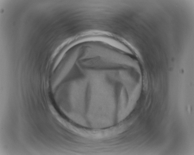 X0000082710015200702232307