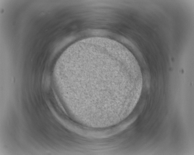 X0000082710016200702232307