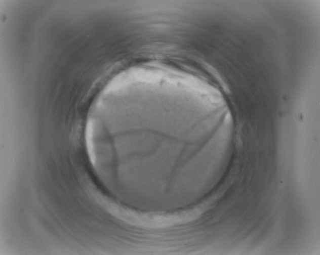 X0000082710018200702232307