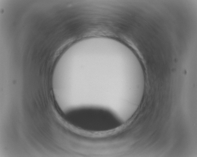 X0000082710019200702232307