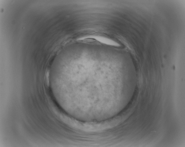 X0000082710022200702232307