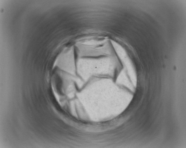 X0000082710024200702232307