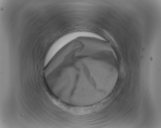 X0000082710025200702232307