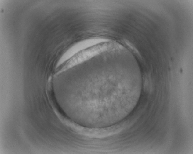 X0000082710026200702232307