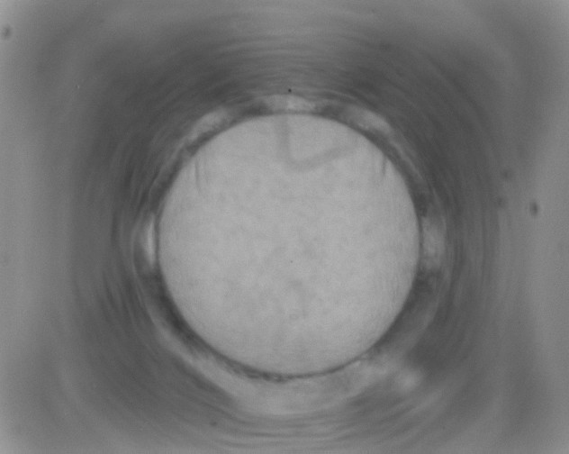 X0000082710028200702232307