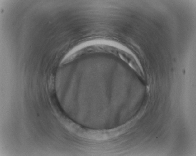 X0000082710029200702232307