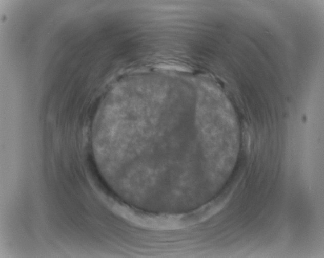 X0000082710032200702232307