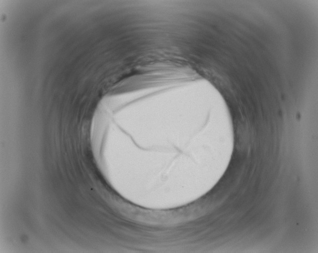 X0000082710034200702232307