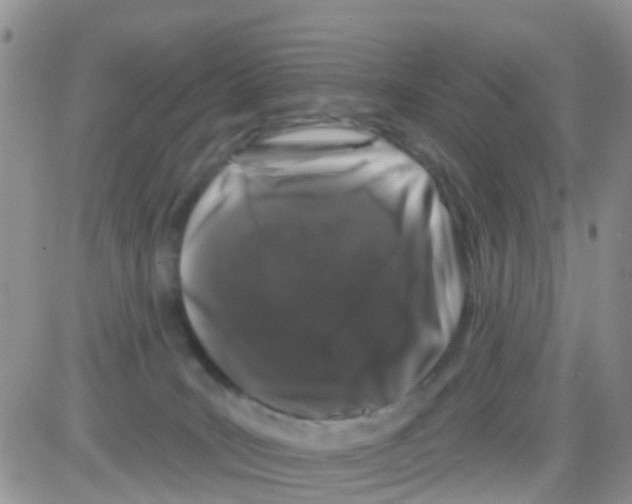 X0000082710035200702232307