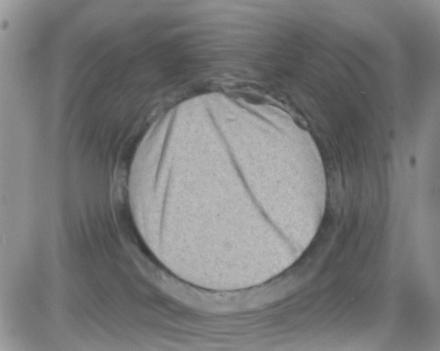 X0000082710038200702232307