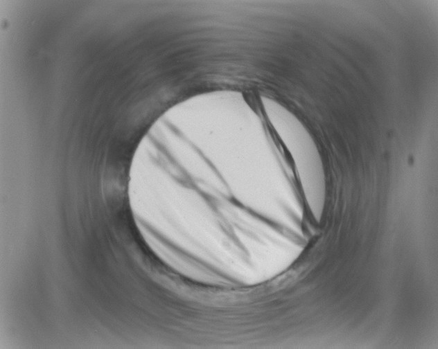 X0000082710040200702232307