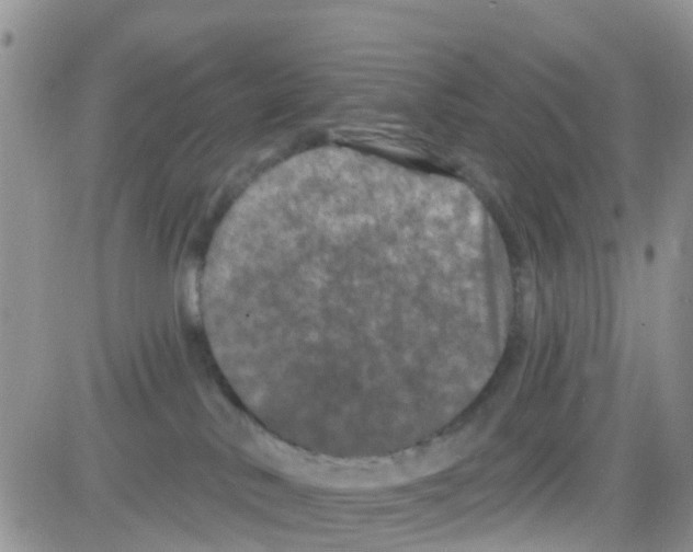 X0000082710042200702232307