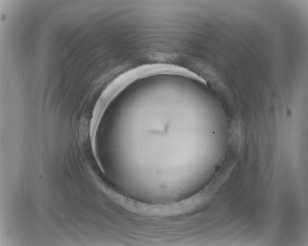 X0000082710043200702232307