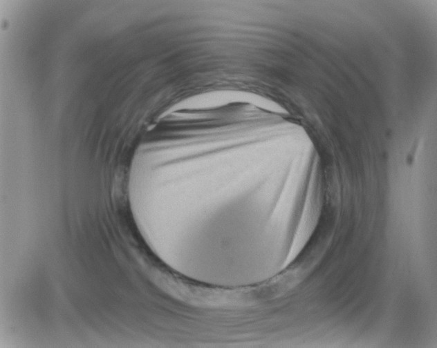 X0000082710044200702232307