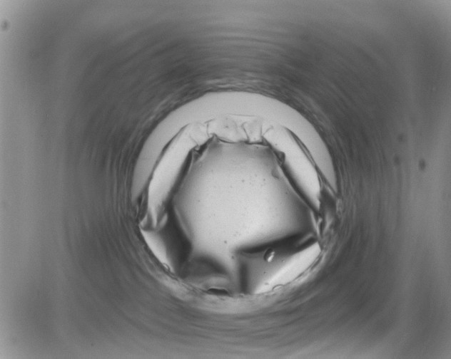 X0000082710045200702232307