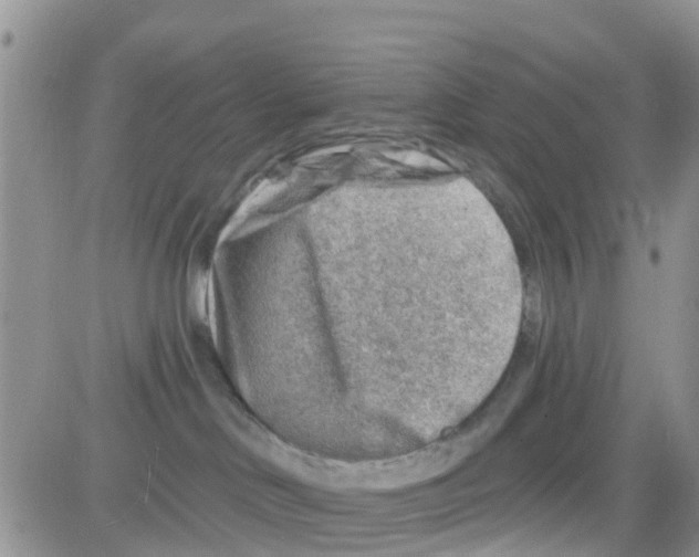 X0000082710046200702232307