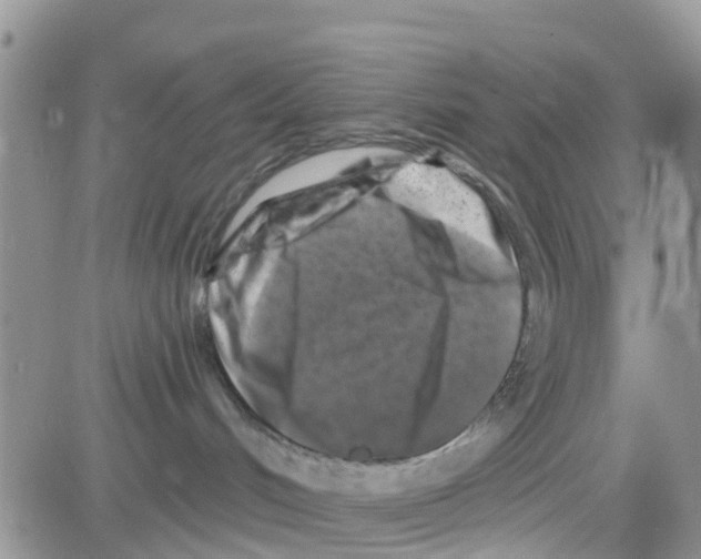 X0000082710048200702232307