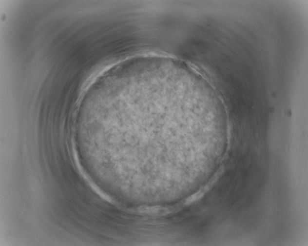 X0000082710049200702232306