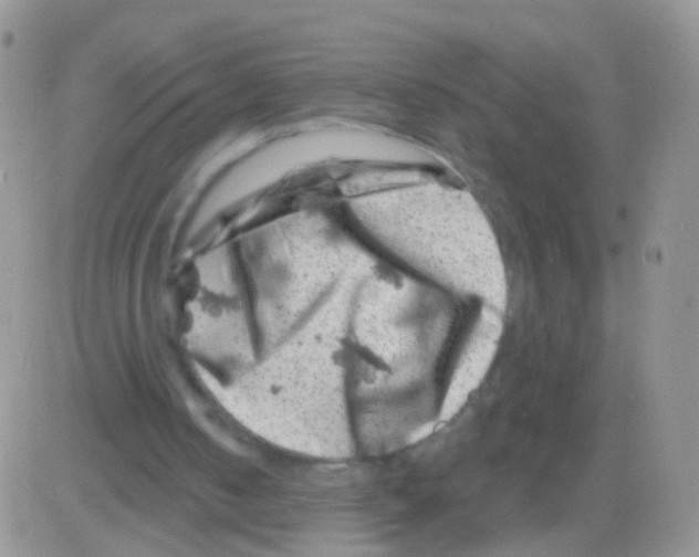 X0000082710050200702232306