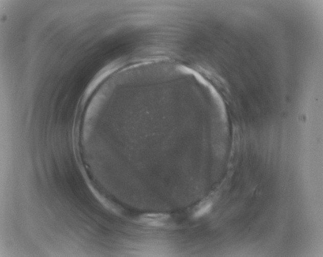 X0000082710051200702232306