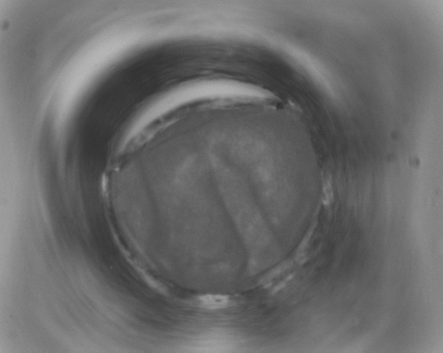 X0000082710052200702232306