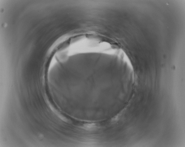 X0000082710054200702232306