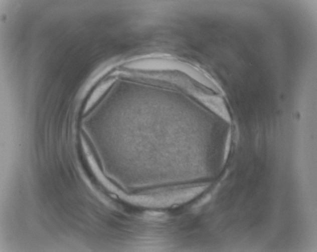 X0000082710055200702232306