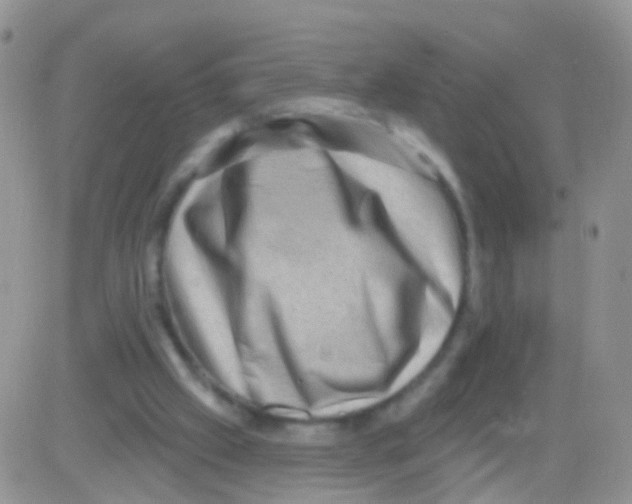 X0000082710057200702232306