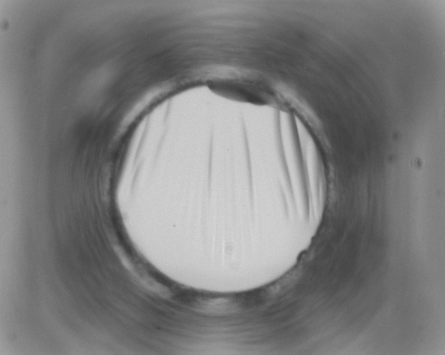 X0000082710058200702232306