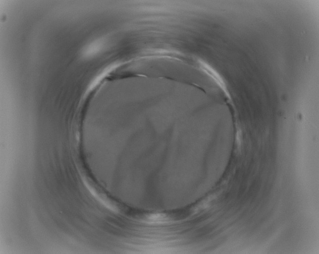 X0000082710059200702232306