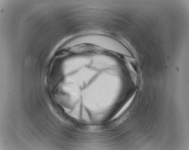 X0000082710060200702232306