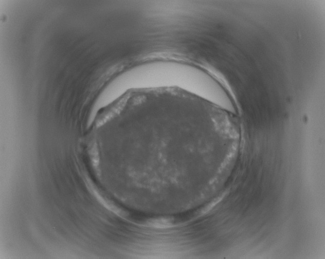 X0000082710061200702232306