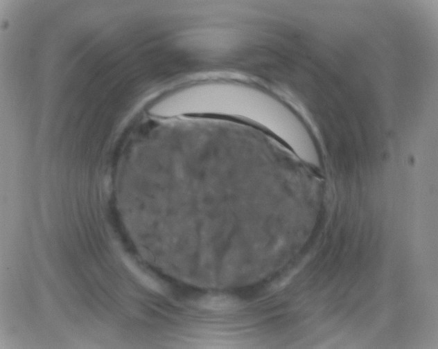 X0000082710063200702232306