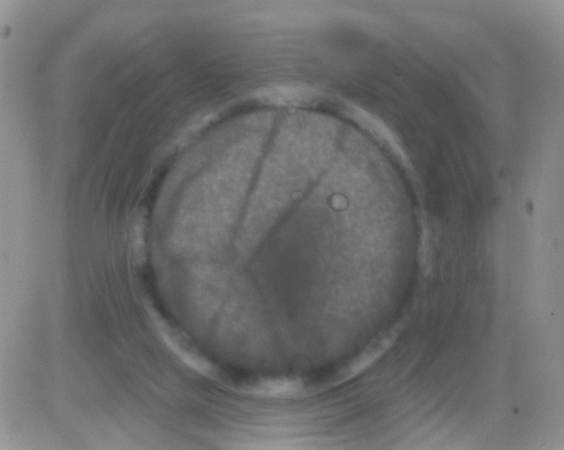 X0000082710065200702232306