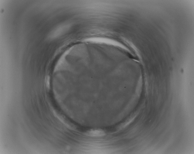 X0000082710067200702232306