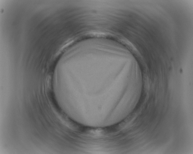 X0000082710071200702232306