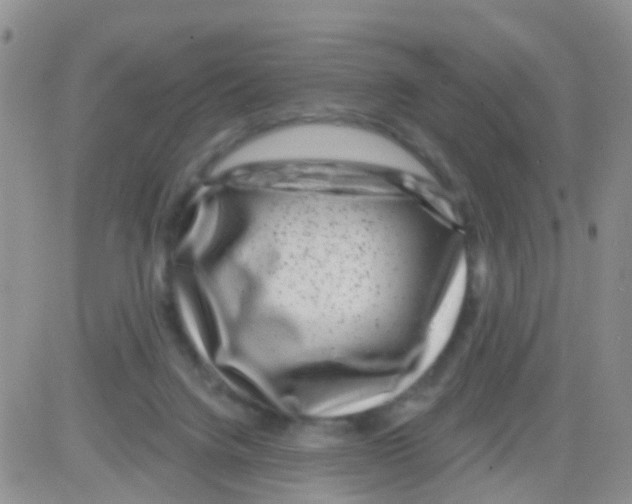 X0000082710072200702232307