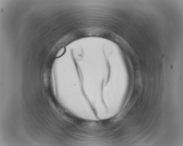 X0000082710074200702232307