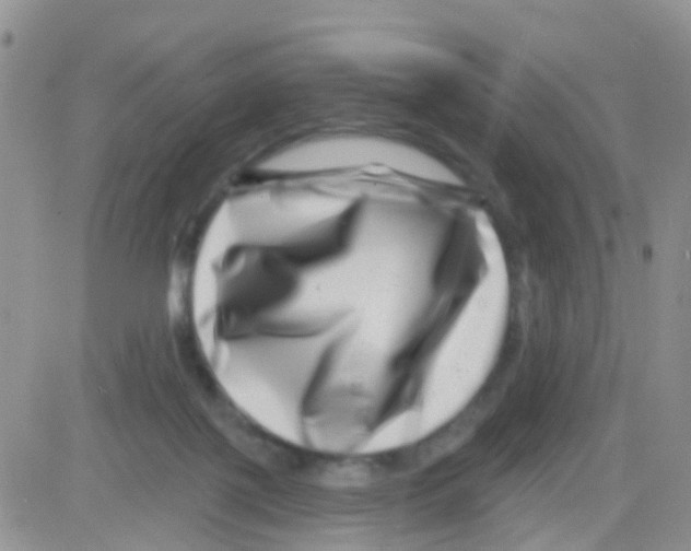 X0000082710075200702232307