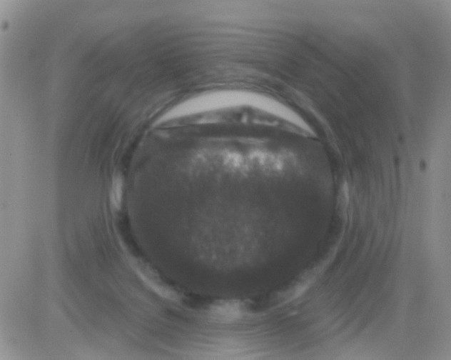 X0000082710076200702232307