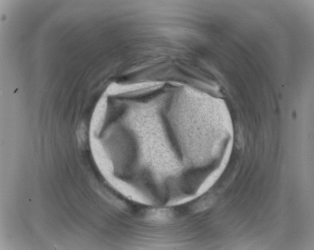 X0000082710077200702232307