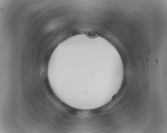 X0000082710079200702232307