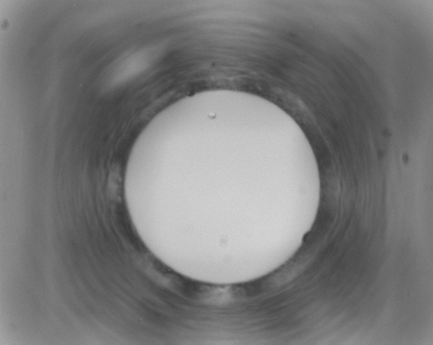 X0000082710083200702232307