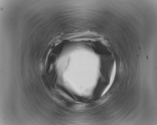 X0000082710084200702232307