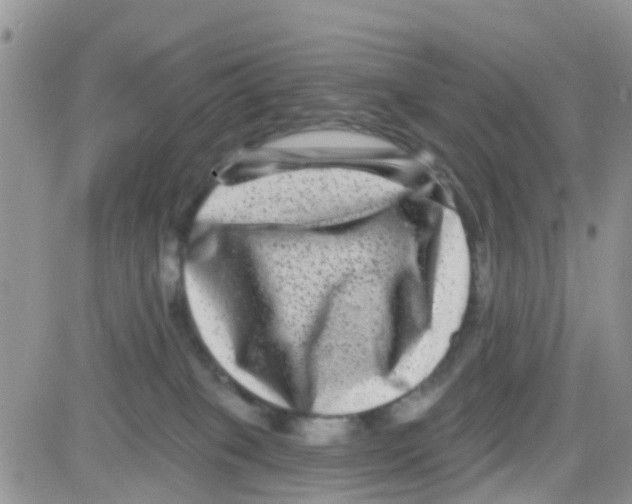 X0000082710085200702232307