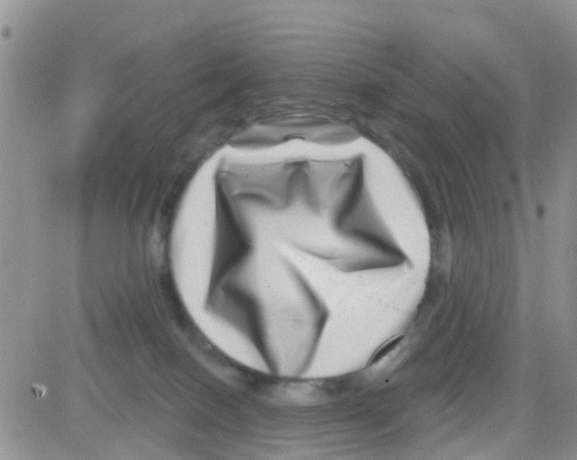 X0000082710086200702232307