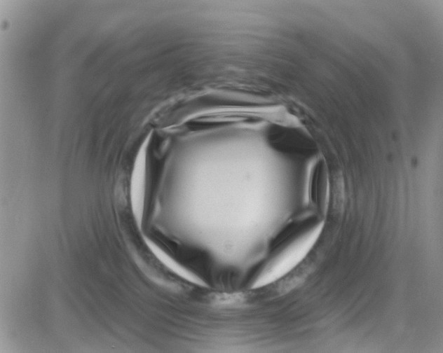 X0000082710088200702232307