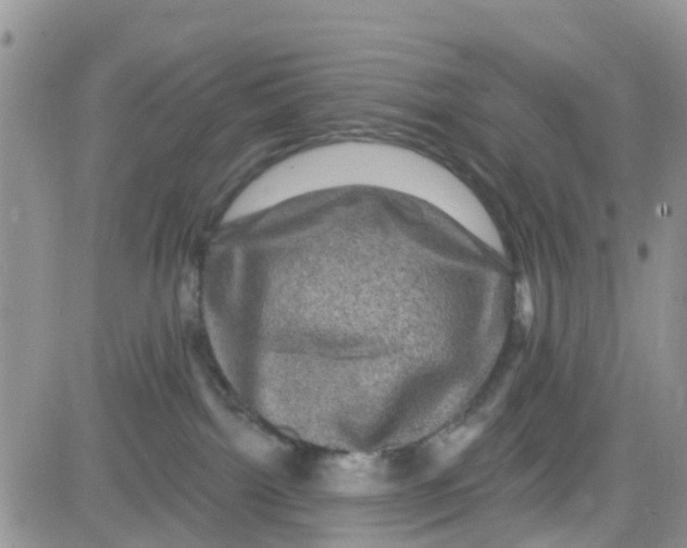 X0000082710092200702232307